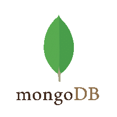 MongoDB skill - oussema daoud